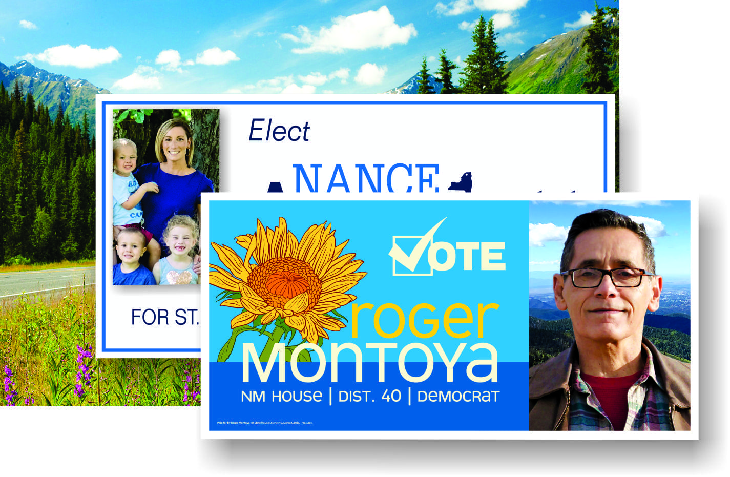 Example of a 4 by 8 foot campaign yard sign